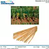 Foto articolo dell\'articolo CANNA BAMBU' 150 CM GRN55 