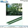 Foto articolo dell\'articolo CANNA PER IL SOSTEGNO DI PIANTE H.150 CM Ø11 MM GRN20