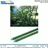 Foto articolo dell\'articolo CANNA PER IL SOSTEGNO DI PIANTE H.180 CM Ø16 MM GRN21